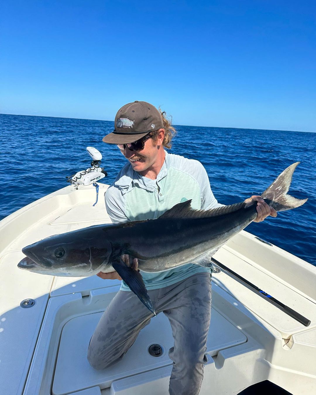 Cobia fishing in Charleston