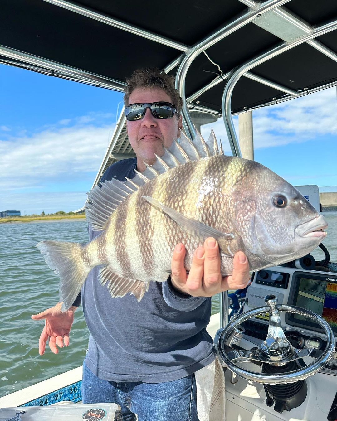 Sheepshead fish caught in Charleston, South Carolina