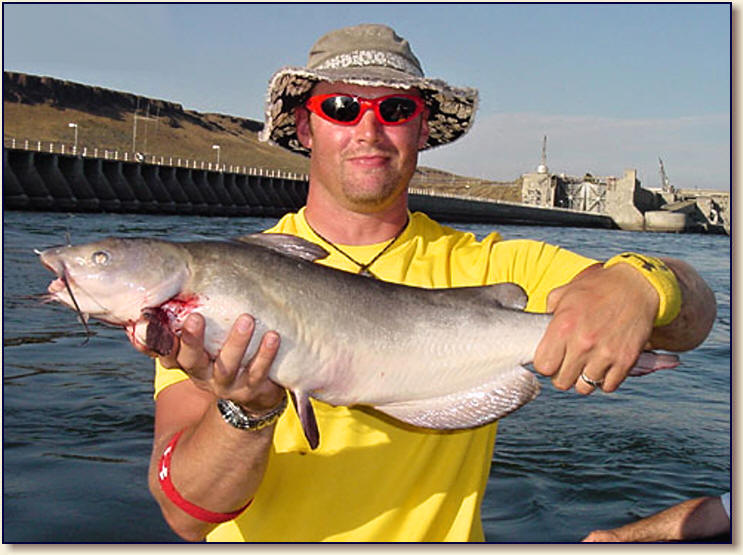 Fishing for a Blue Catfish in OR