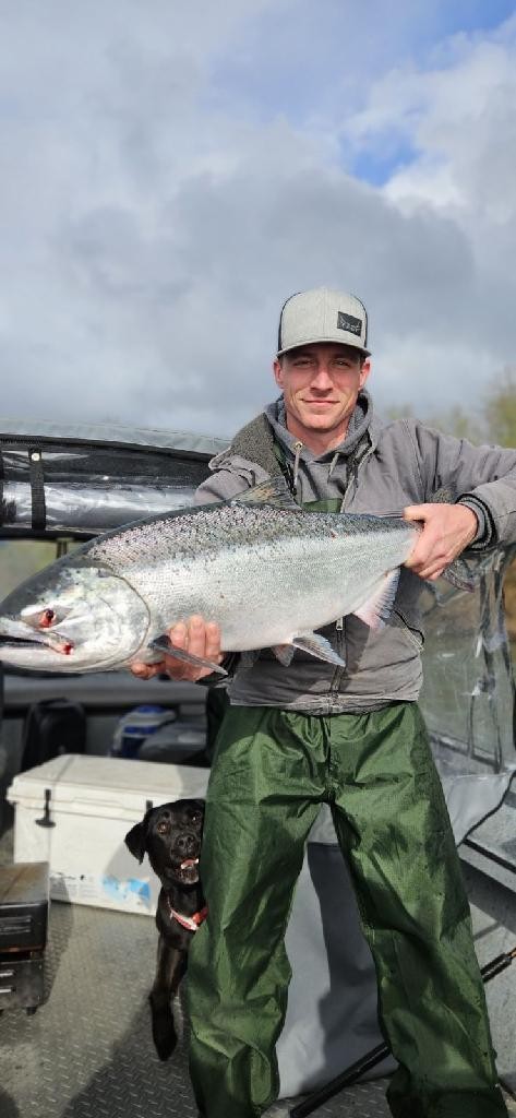 Chinook salmon catch displayed on fishing boat in Gold Beach Oregon