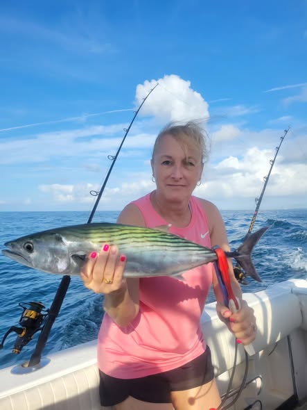 Atlantic Bonito caught while fishing in Atlantic Beach NC