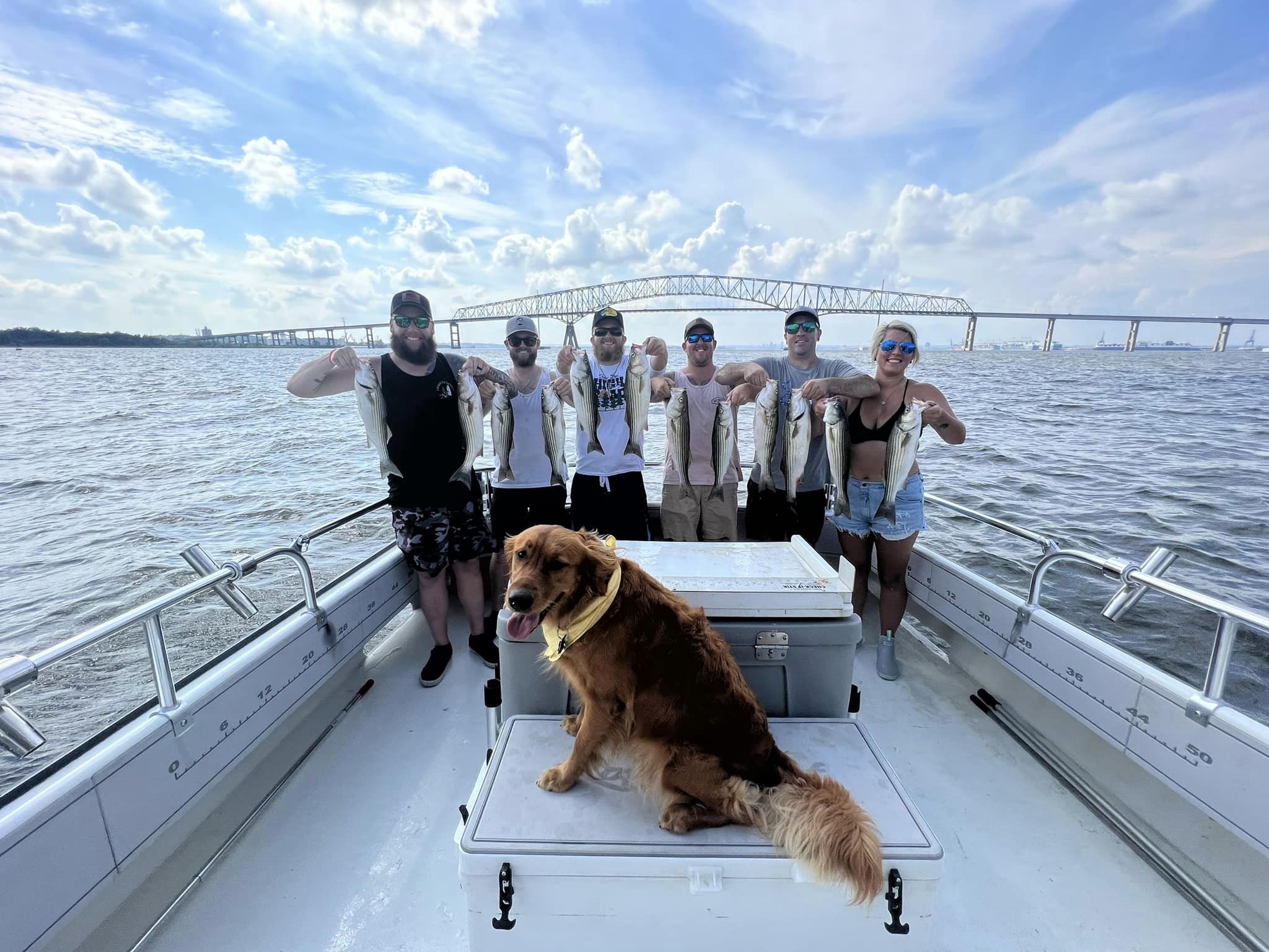 Two striped bass caught fishing in MD