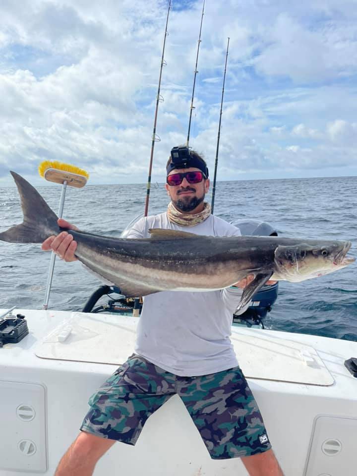 Cobia fish caught in Destin