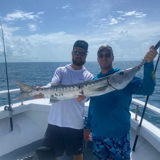 Great Barracuda, a large saltwater fish, caught while fishing in Florida
