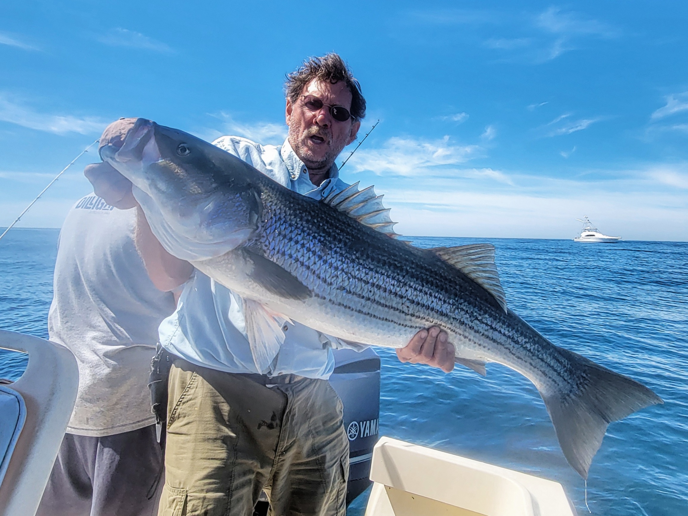 Striped bass caught fishing in NY