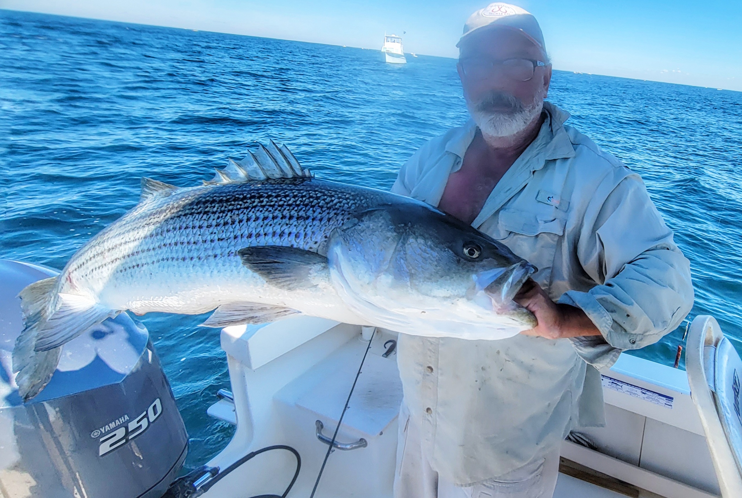 Striped bass caught in Montauk