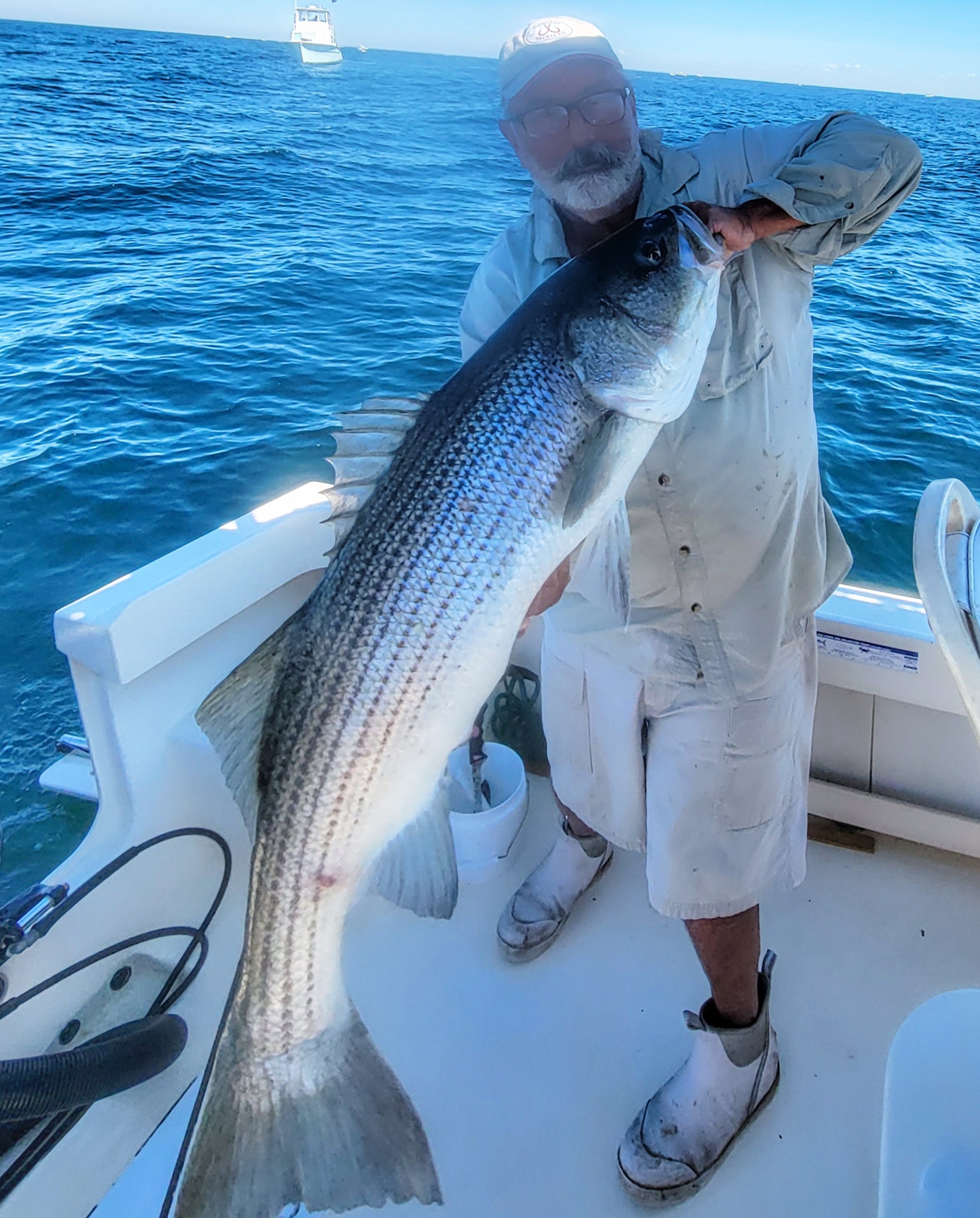 Striped bass caught in Montauk
