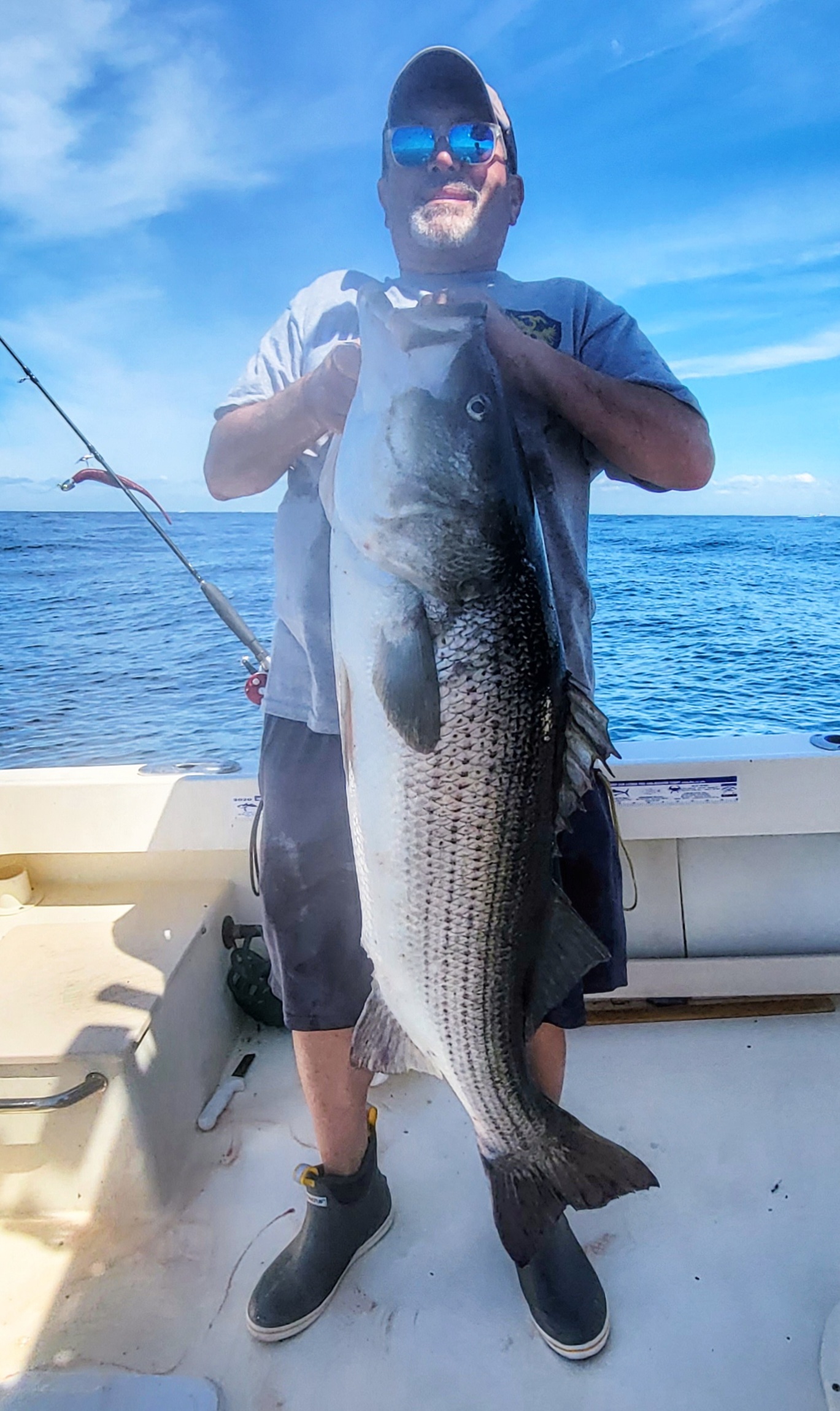 Striped bass caught by angler in NY