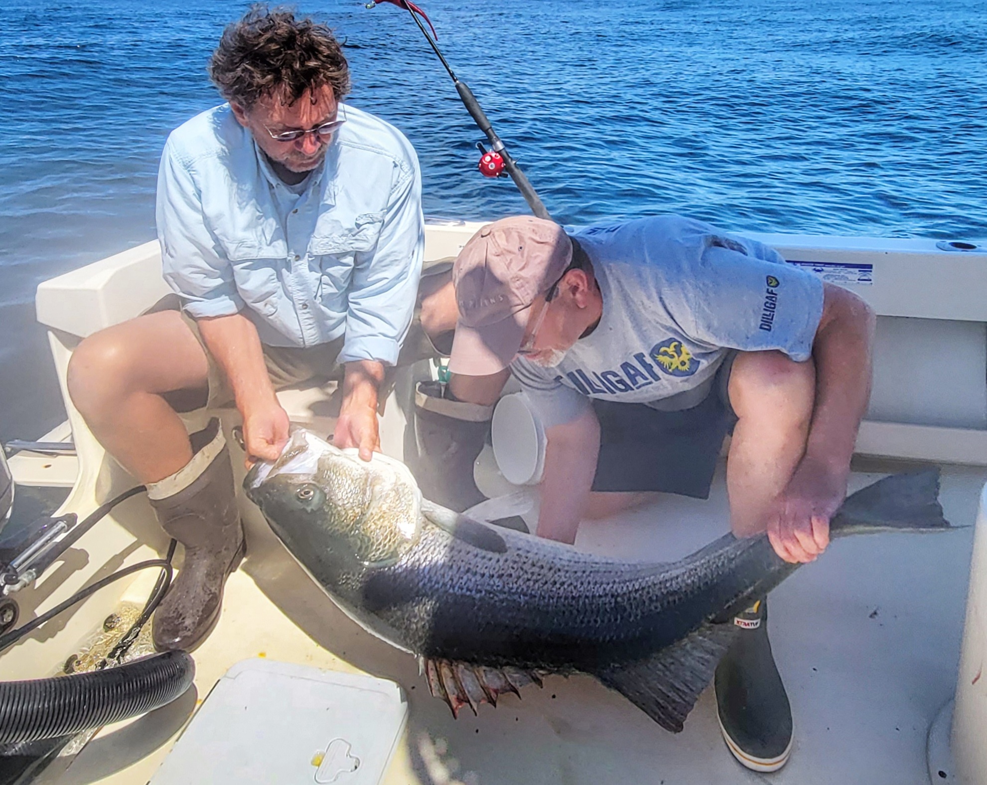 1 person fishing in NY