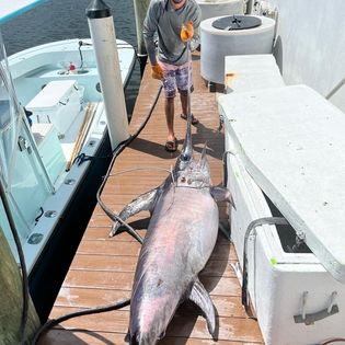 Fishing in the heart of Hollywood