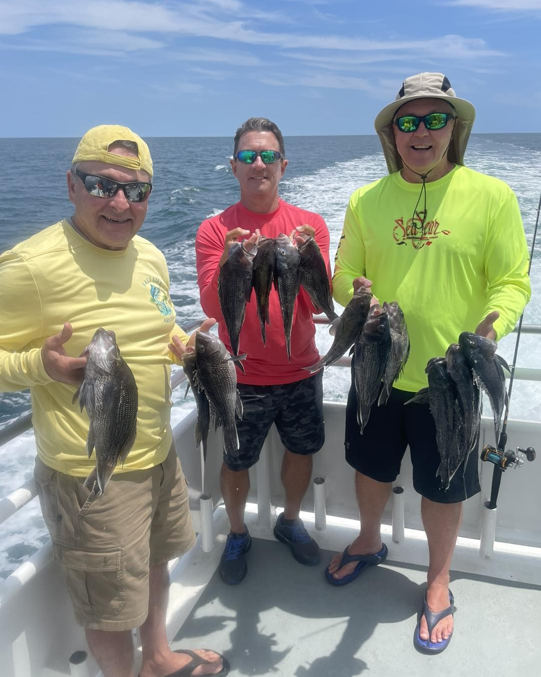 7 sea bass caught while fishing in NJ