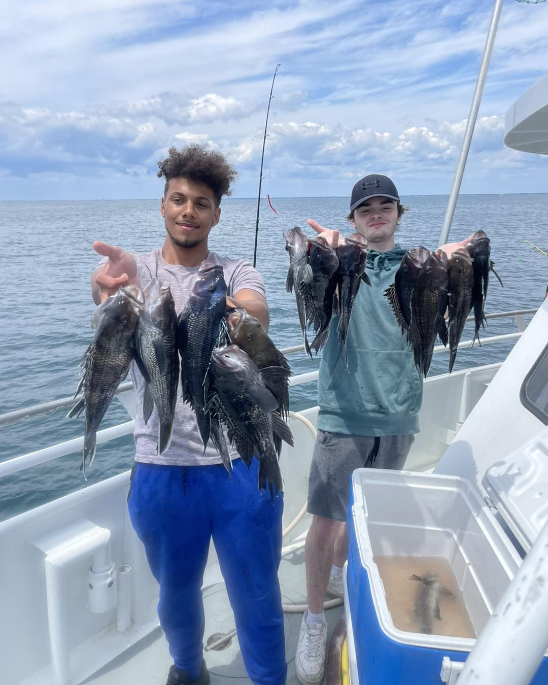 5 sea bass caught fishing in NJ