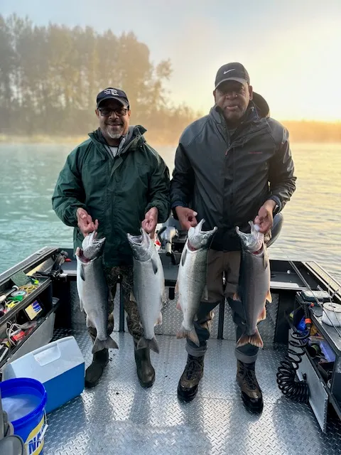 Fresh caught Coho and Chum salmon displayed on fishing boat deck in Kenai Alaska