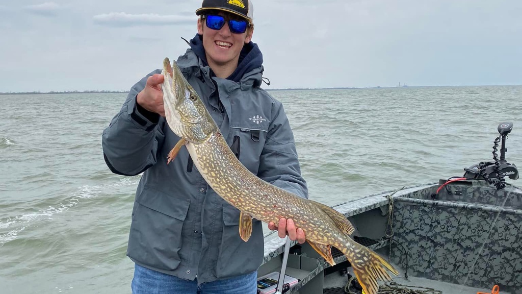 Northern Pike fish caught in MI