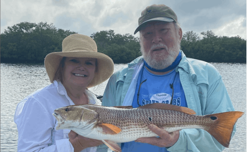 Redfish catch at Crystal River