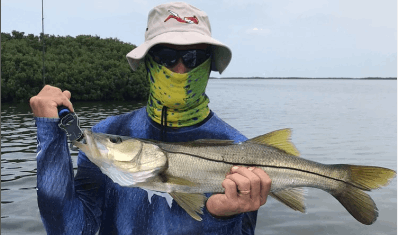 Snook fish caught by person in FL