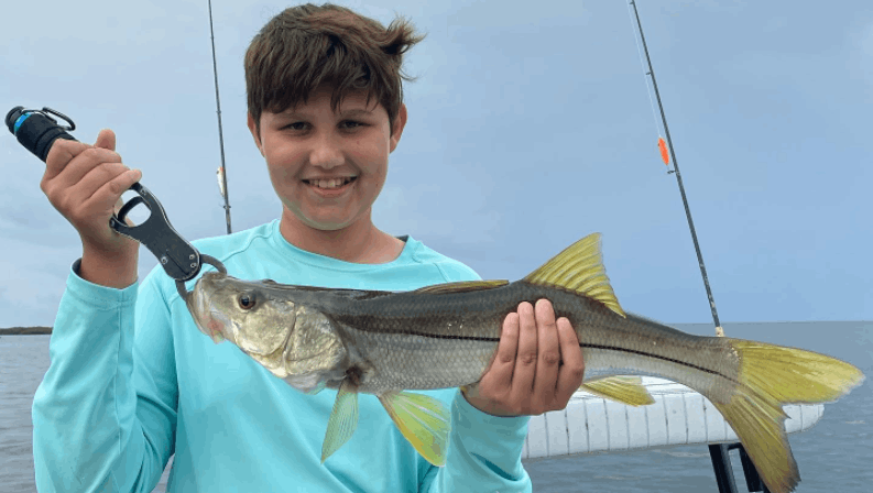 Photo of a snook fish caught in Crystal River