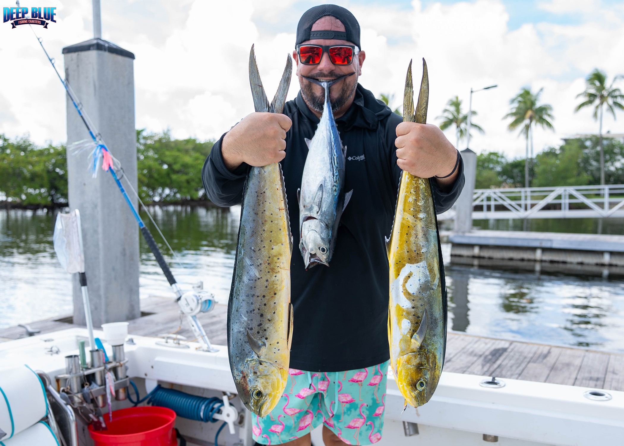 3 fish caught in Boynton Beach during fishing trip