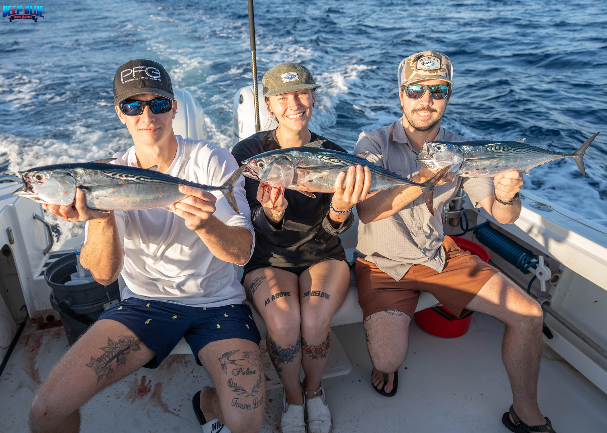 3 Little Tunny fish caught while fishing in Boynton Beach