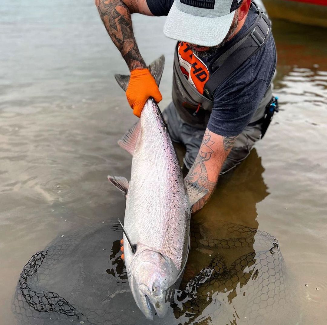 Chinook Salmon fishing in Kasilof
