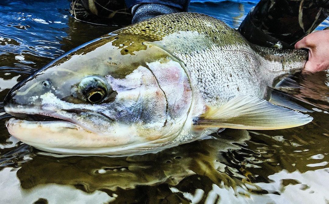 A stunning photo of the Kasilof river, showcasing the best fishing spot.