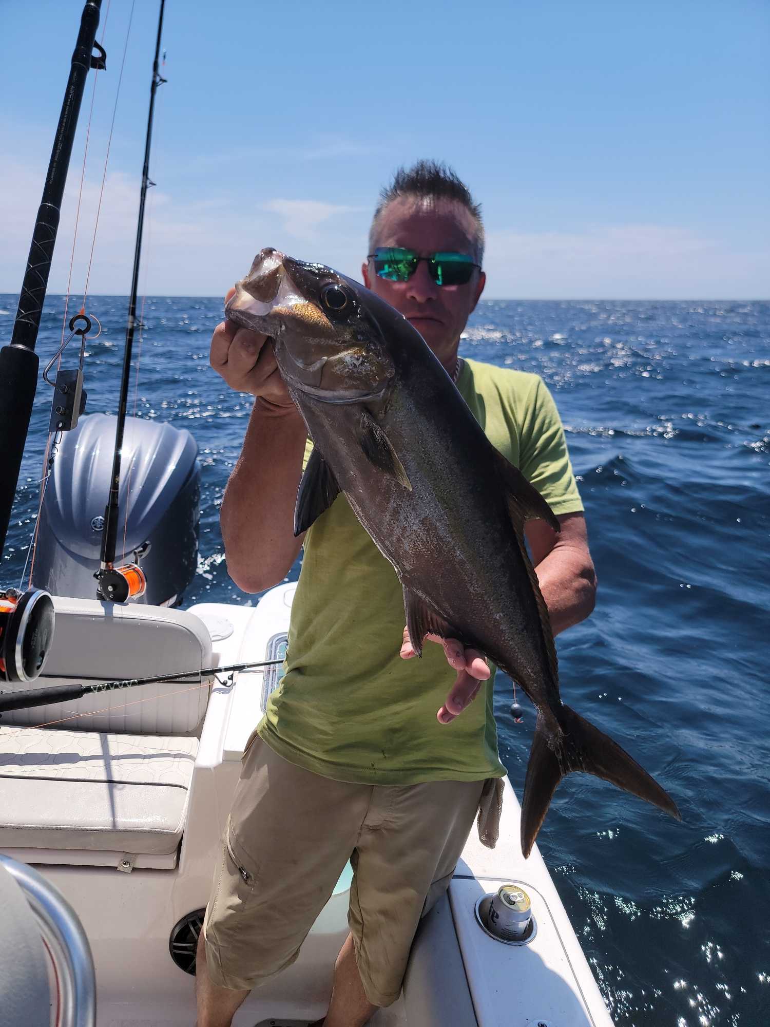Greater amberjack catch on fishing boat in Orange Beach Alabama waters