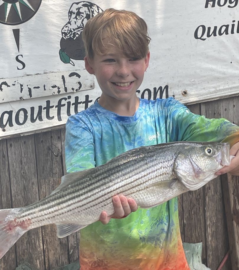 Striped bass catch displayed at fishing dock in Pottsboro TX