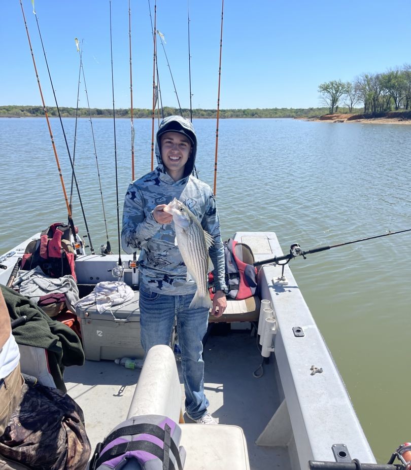 Striped bass caught while fishing on boat in Pottsboro TX