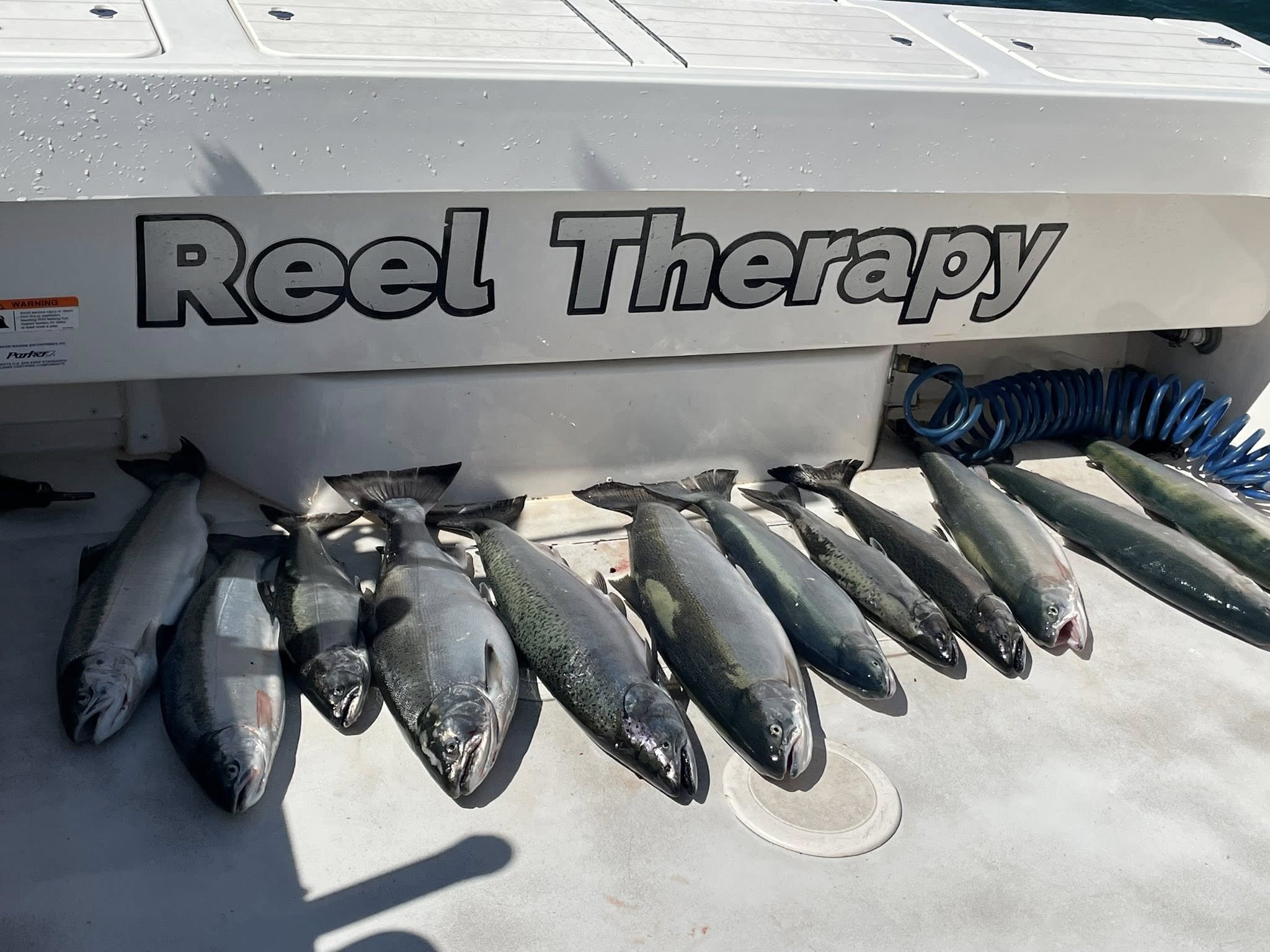5 Chinook Salmon caught while fishing in OH