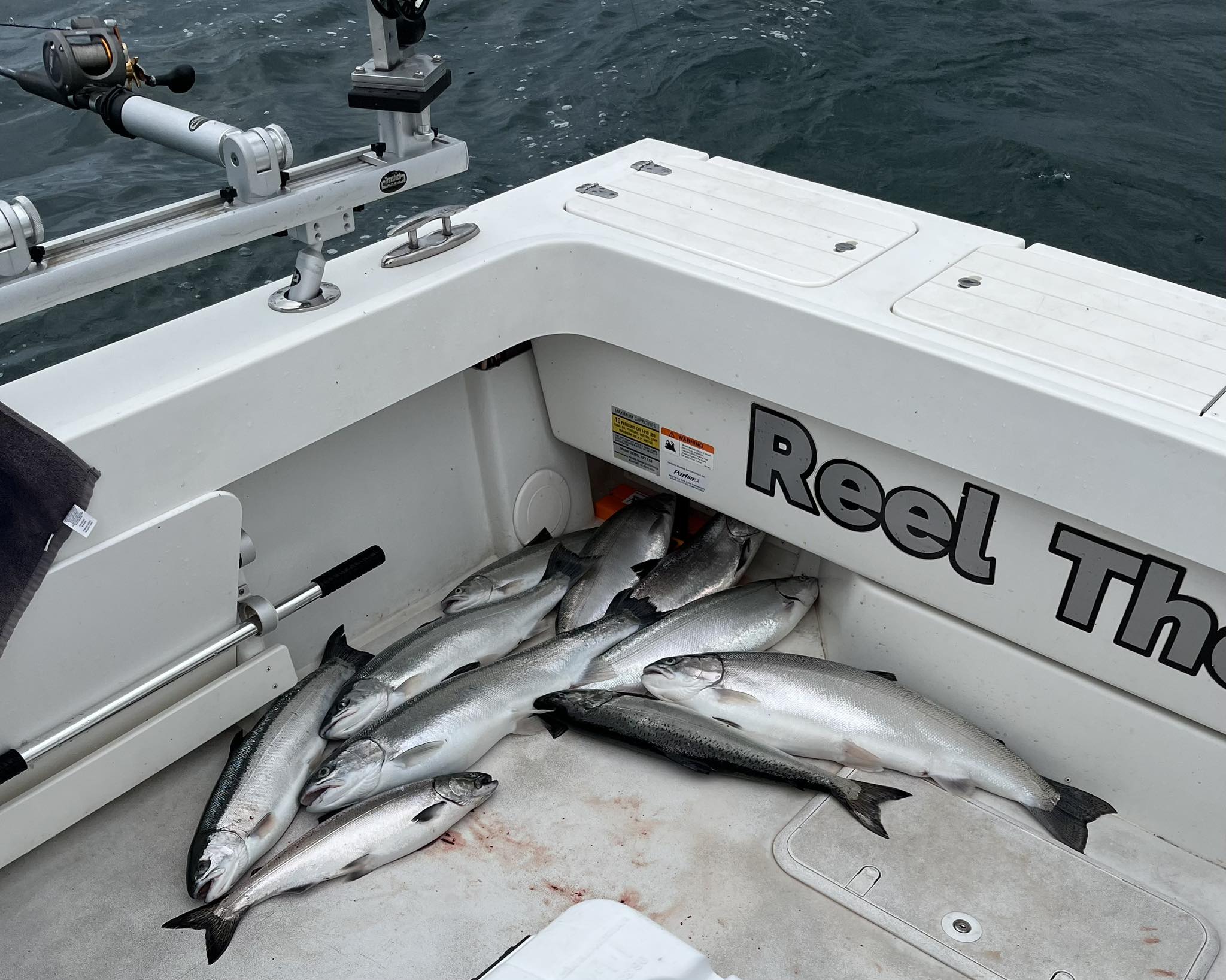 Three fish caught in Oregon while fishing