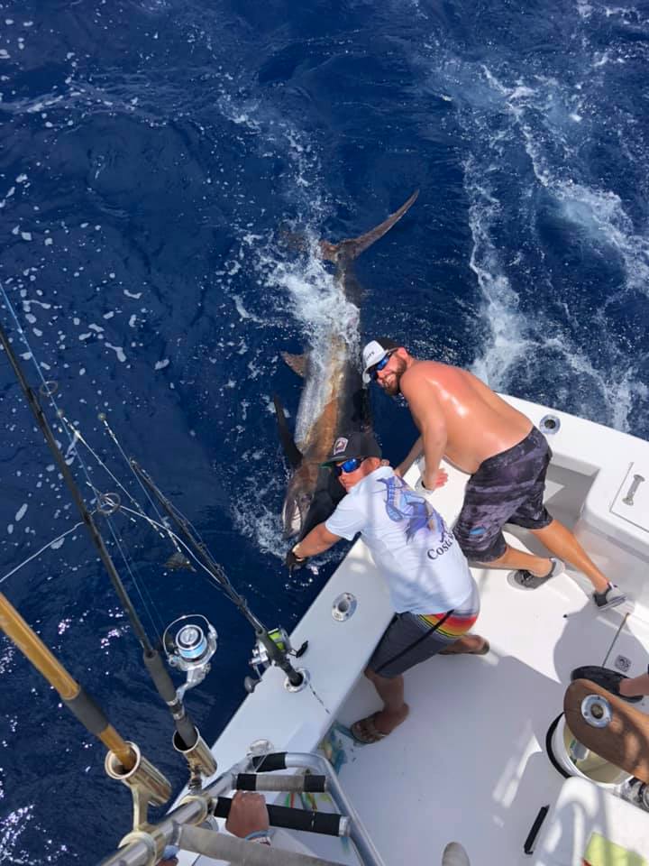 Large Tuna in Islamorada, FL