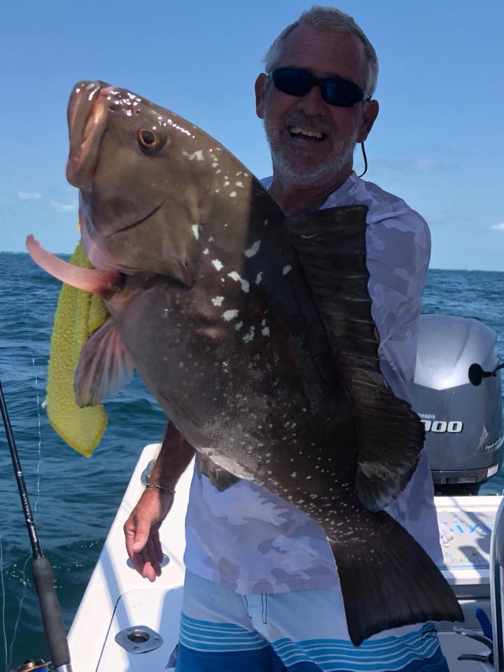 Large Red Grouper in Islamorada, FL