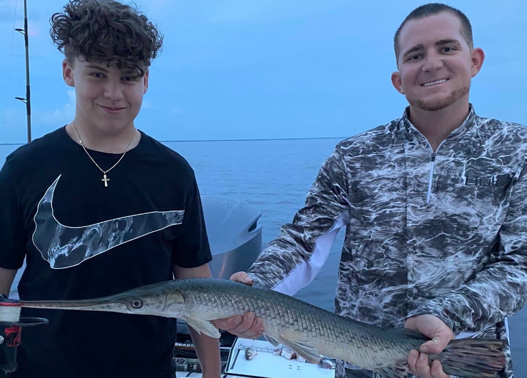 Longnose gar, a 25-inch fish, caught in FL