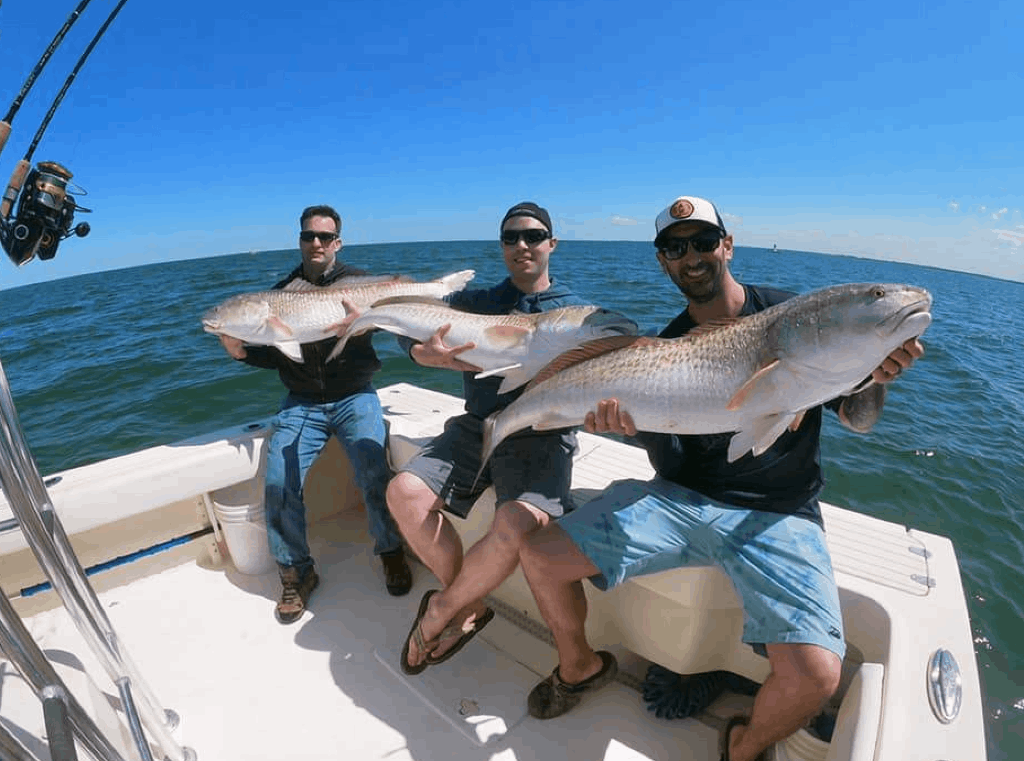 chesapeake-bay-fishing-charter-rates