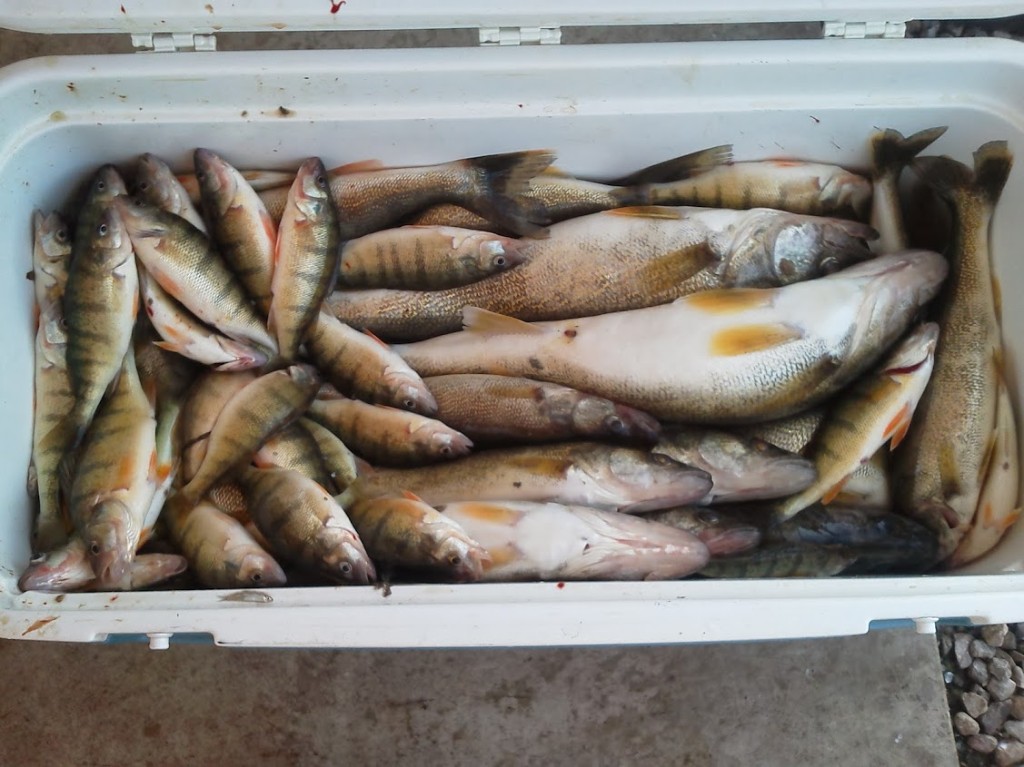 Four fish caught at Lakeside Marblehead