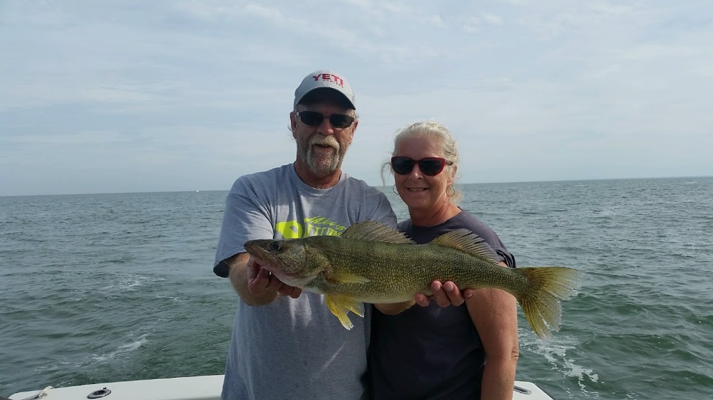 Sauger fish, 24 inches, caught at Lakeside Marblehead
