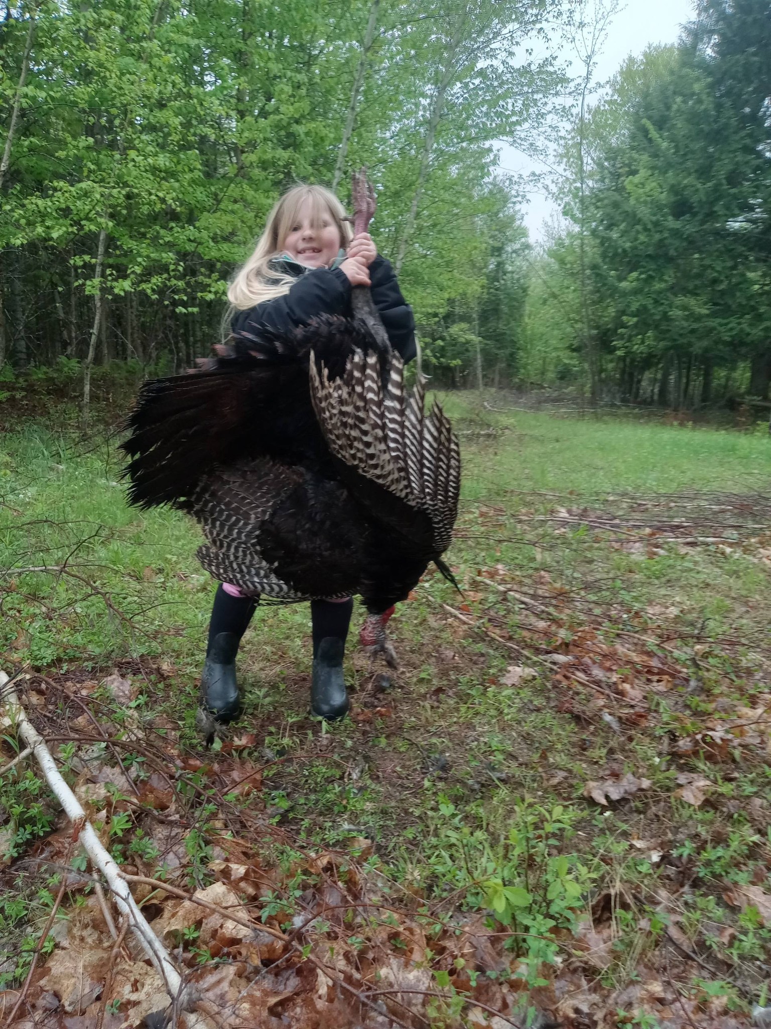 Wild turkey harvested during hunting season in Palmyra ME