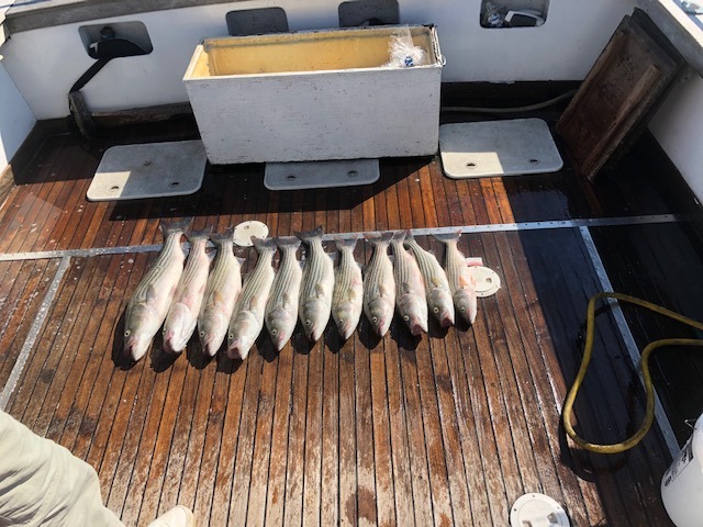 Two fishing rods and tackle in the water at Annapolis