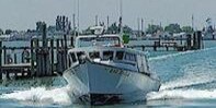 Bay Eagle