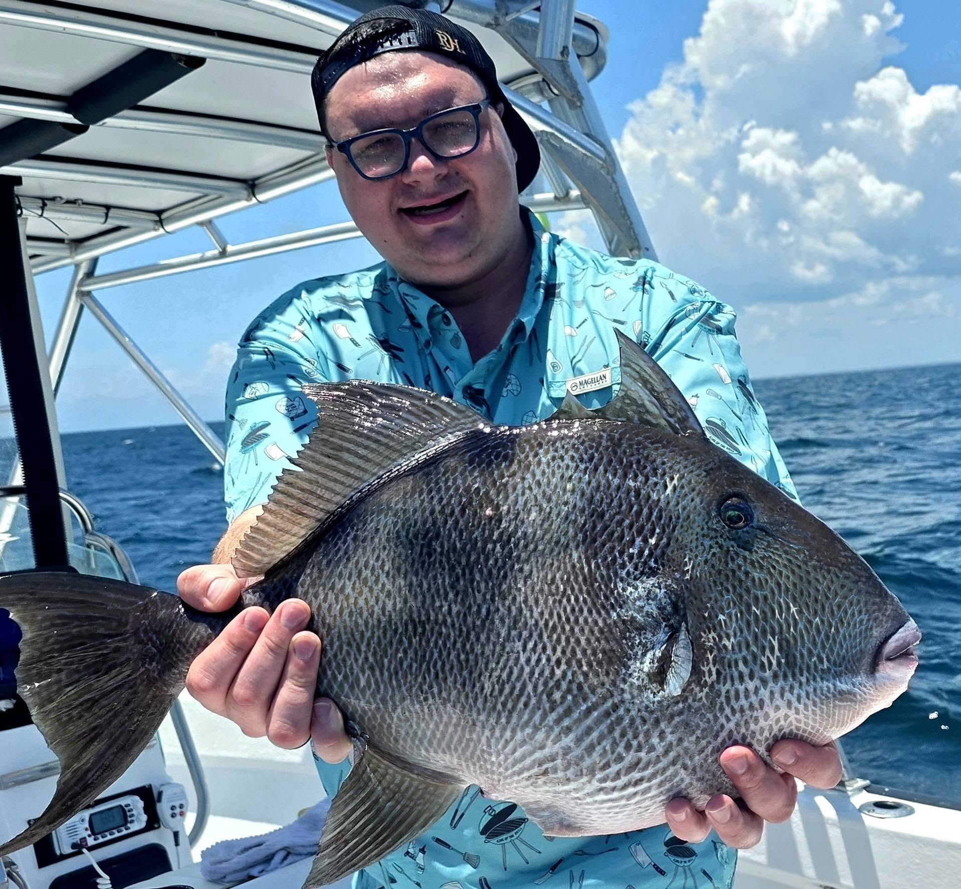 Grey triggerfish caught while fishing in Destin FL