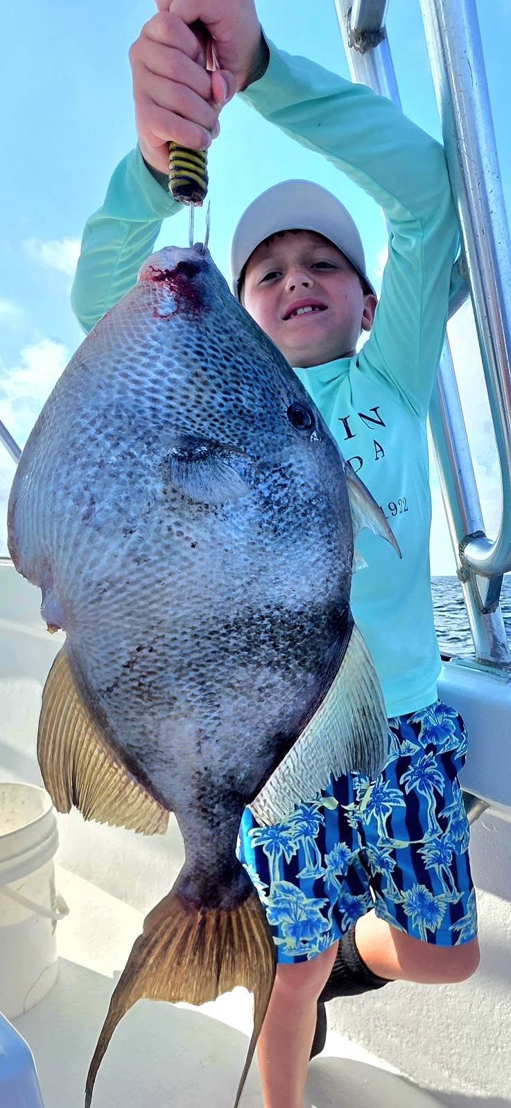 Grey triggerfish catch on fishing boat in Destin FL