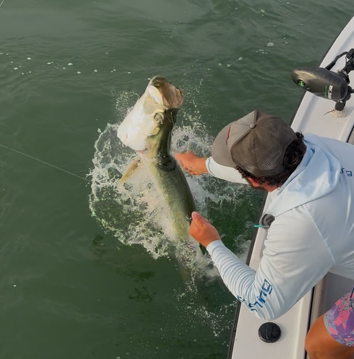 Large bass being released back into green water in Placida FL