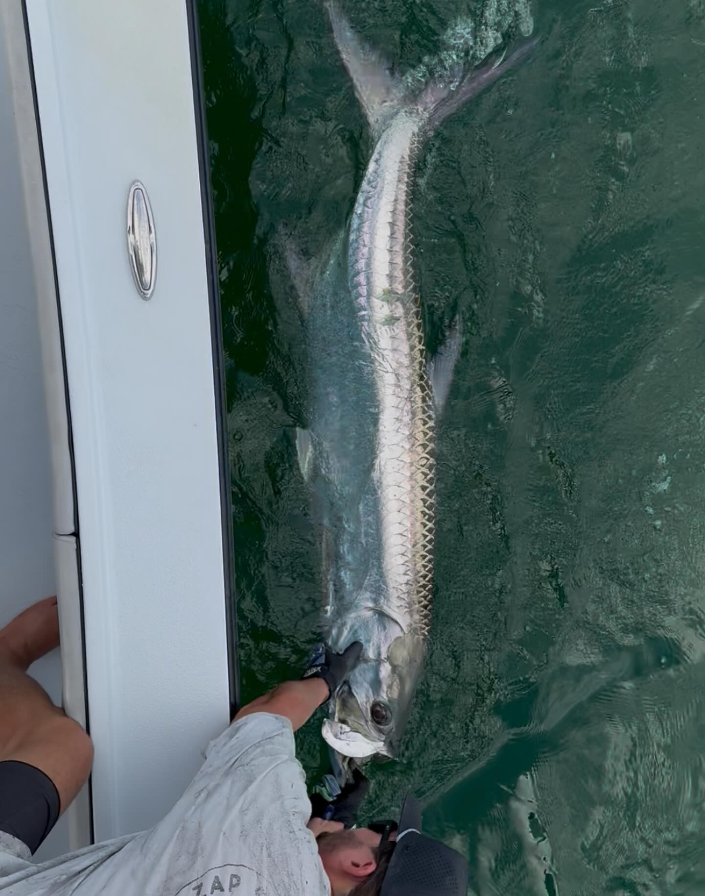 Large tarpon caught during fishing trip in Placida FL waters