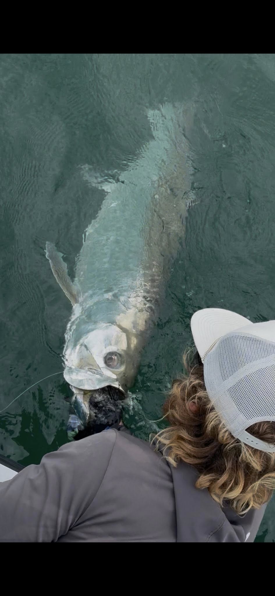 Tarpon caught while fishing in Placida Florida waters