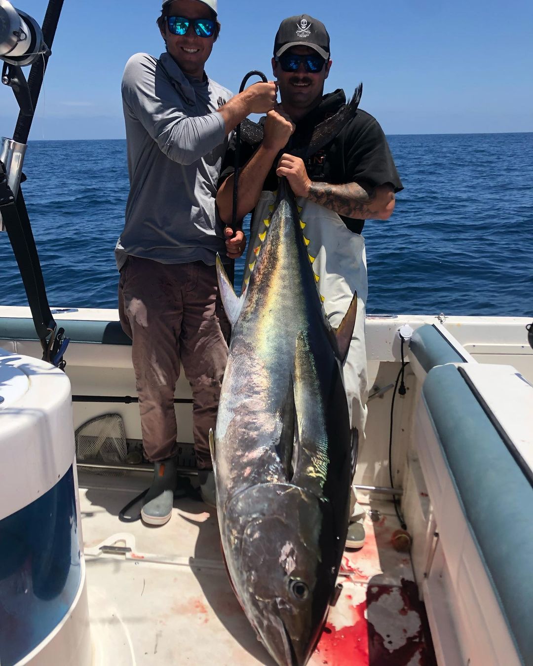 Blackfin tuna caught while fishing in CA