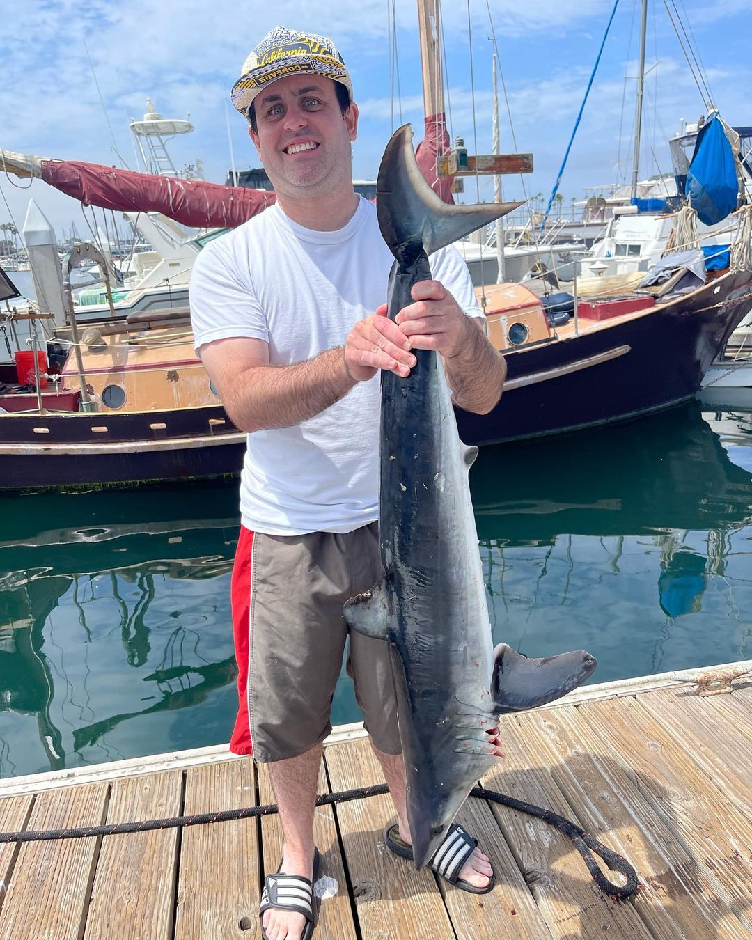 Dusky Smooth-Hound fish caught in San Diego