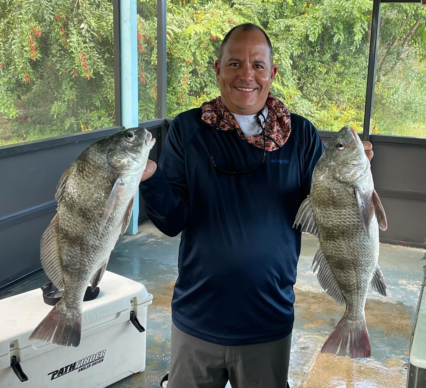 Angler with two large black drum fish caught in Florida