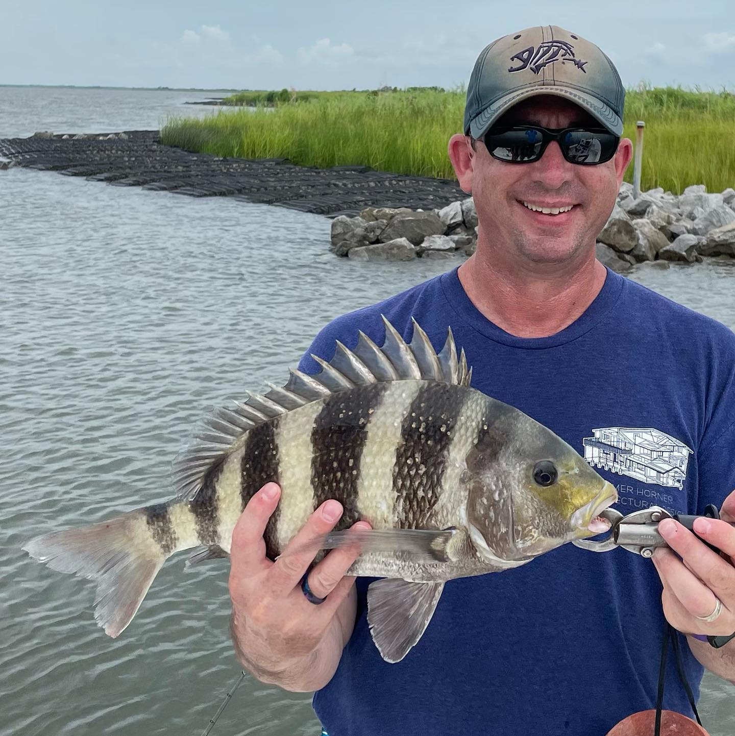 Sheepshead fish caught in FL