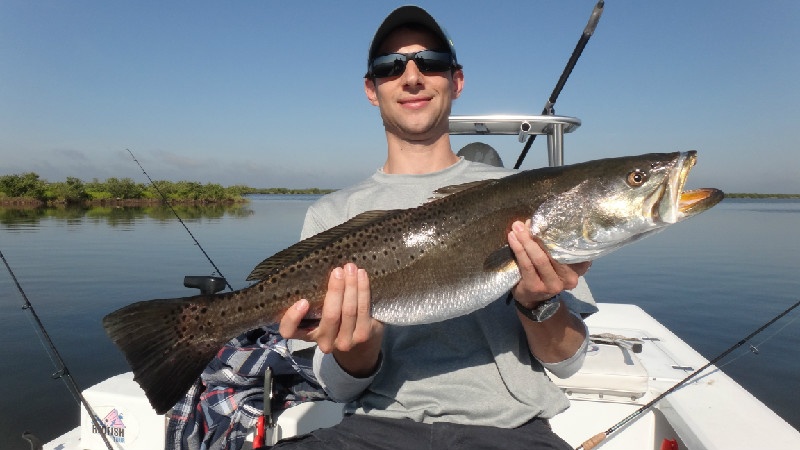 Photograph of a 33-inch spotted weakfish caught in New Smyrna Beach