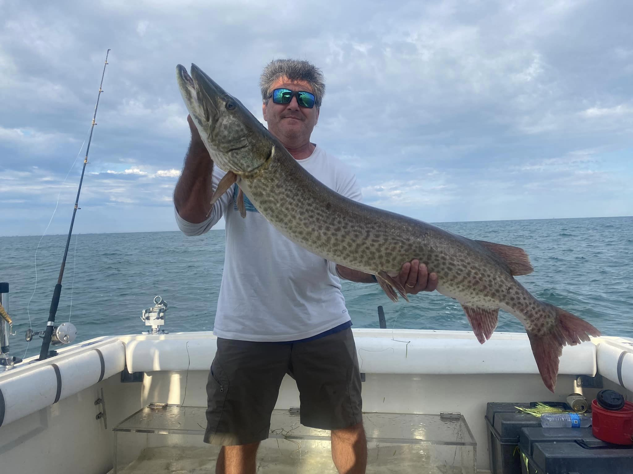 A single muskellunge, a large freshwater fish, being caught in Harrison Charter Township
